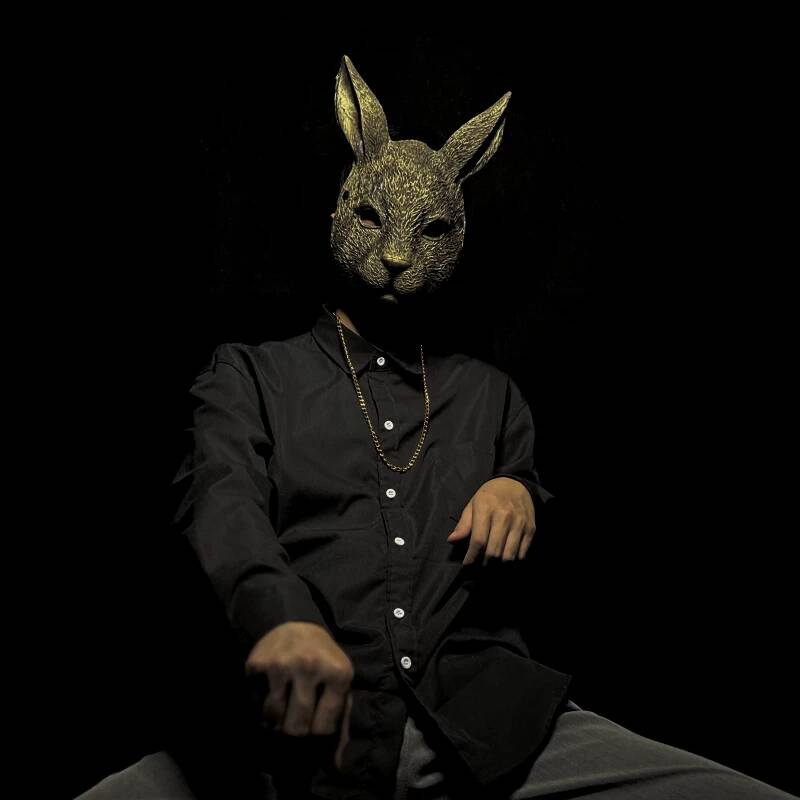Rabbit Mask Full Face Children - đánh giá và giá Kids Face Mask